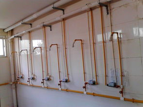 鄰水縣石永鎮初級中學軟件開發 技術賦能教育新未來